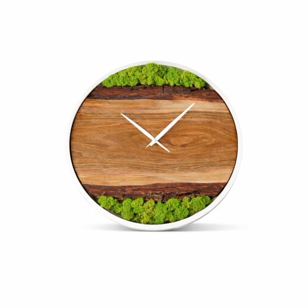 VERDE TEMPO – Warm Grain No.04