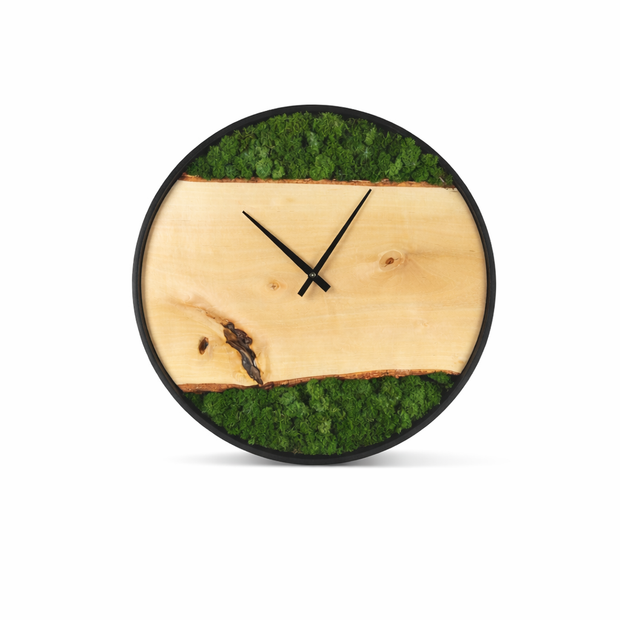 VERDE TEMPO – Raw Forest No.05